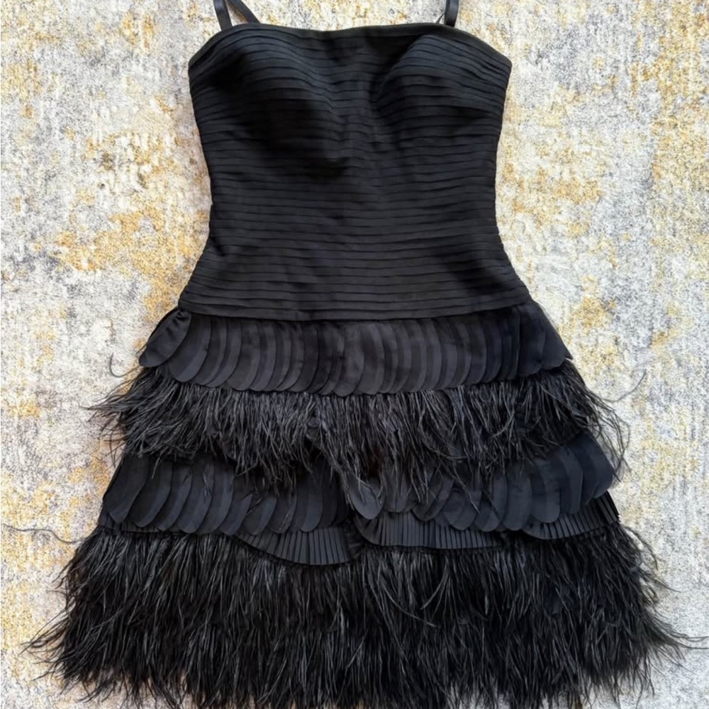 Elegant Black Feathered Dress